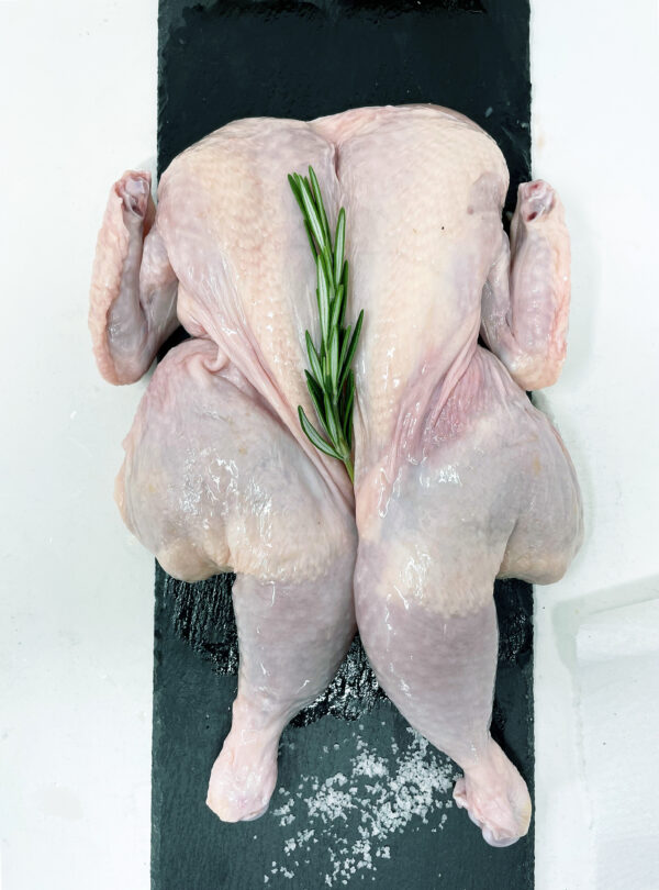 Flat Chicken